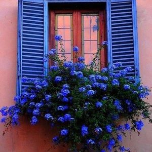 Just moved & items are in storage/not accessible